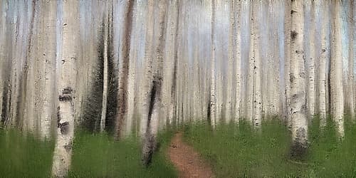Path through the Aspens Landscape Print