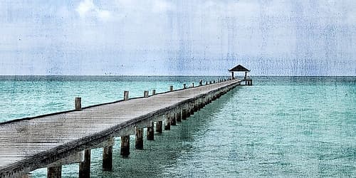 Paradise Coastal Print