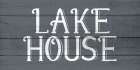 Lake House 4 Art Print