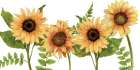 Sunflower Letters v2 Art Print
