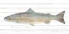 Trout 1 Art Print