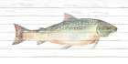 Trout 2 Art Print
