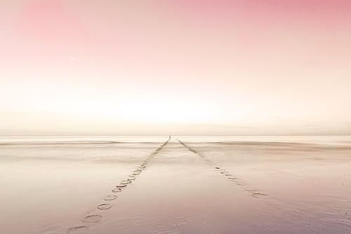 Water Pathway Landscape Print
