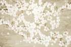 Magnolias Art Print