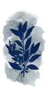 Botanical Branch Panel 1 Botanical Print