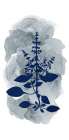 Botanical Branch Panel 3 Botanical Print