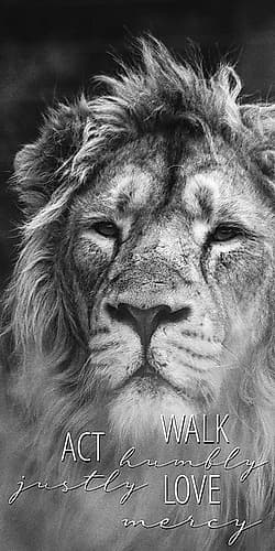 Act Justly Lion Art Print by Kimberly Allen