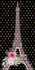 Paris 1 Art Print