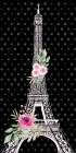 Paris Beauty 1 Art Print