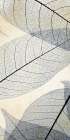 Transparent Leaves 1 Botanical Print