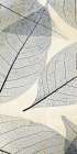Transparent Leaves 2 Botanical Print