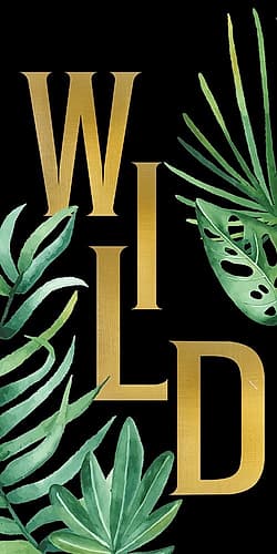 Wild 1 Signs Print