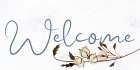 Welcome Art Print