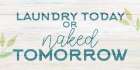 Laundry or Naked V2 Art Print