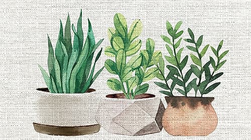 Burlap Plants Nature Print