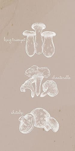 Mushrooms 1 Minimalist Print