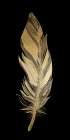 Feather Panel 1 Art Print