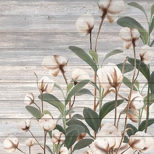Cotton Days Art Print