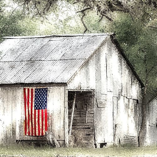 Old Glory 2 Nature Print