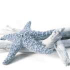 Starfish Beach 4 V3 Art Print