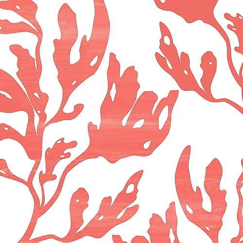 Seaweed 1 Coastal Print