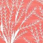 Seaweed 2 Art Print