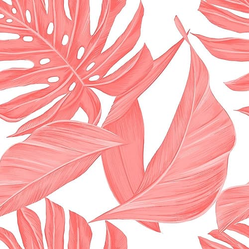 Tropic Coral 2 Art Print