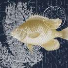 Fish Blues 2 Art Print