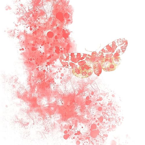 Hidden Secrets 1 Art Print