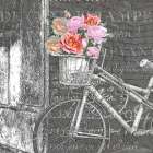 Paris Blooms 2 Art Print