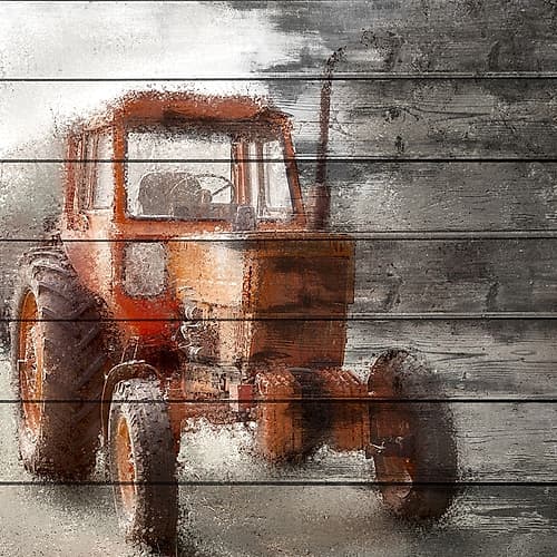 Olde Red Food Print