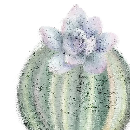 Succulent Speckled 2 Art Print