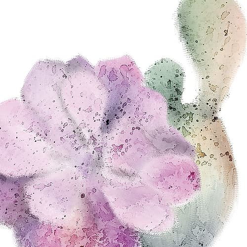 Succulent Speckled 3 Art Print