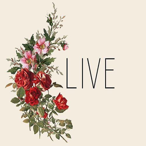 Live Laugh Love 3 Art Print