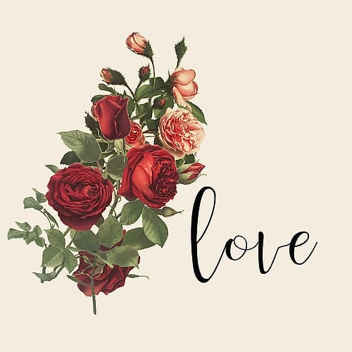 Live Laugh Love 5 Art Print