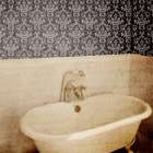 Damask Bath 1 Bathroom Art Print