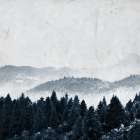 Lets Get Lost Art Print