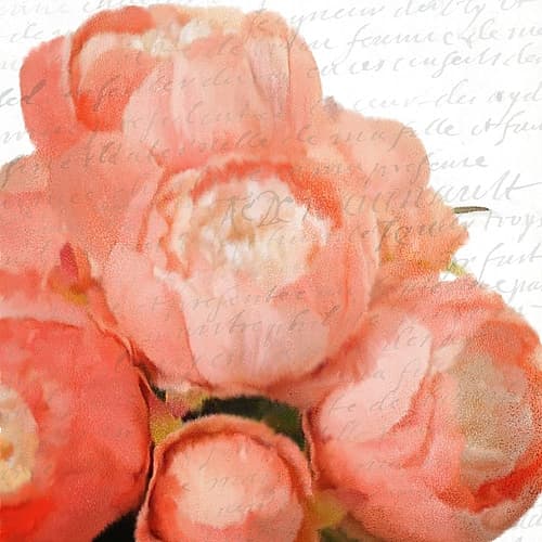 Peony Bunch Art Print