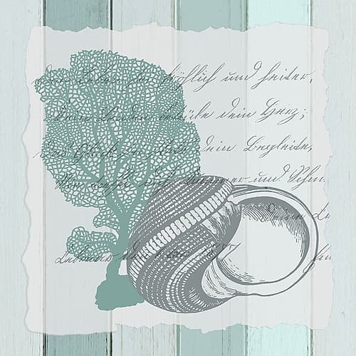Live in the Sun 4 Coastal Print