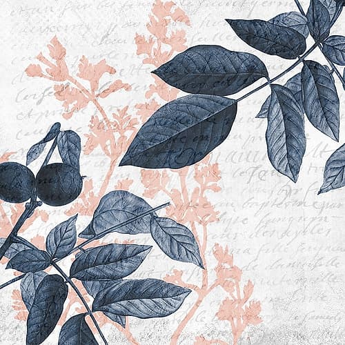 Branches 1 Art Print by Kimberly Allen
