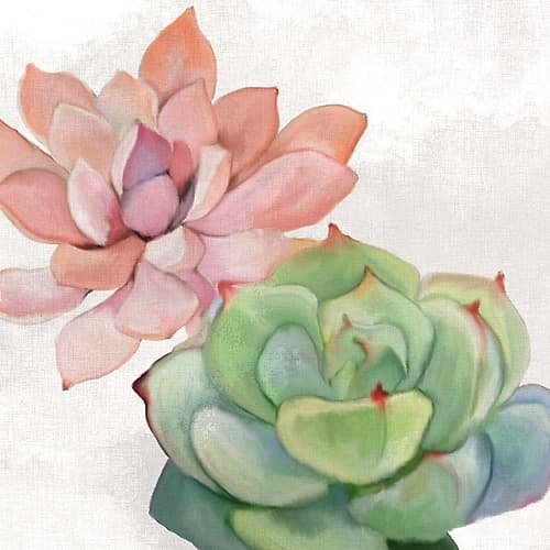 Succulent Summer 1 Art Print