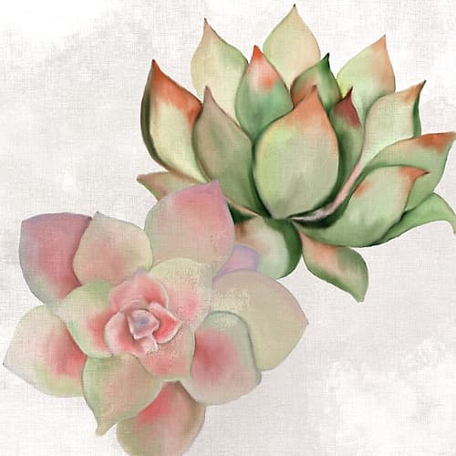 Succulent Summer 2 Art Print