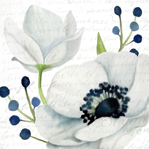 Anemone Square 2 Art Print