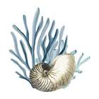 Coastal Coral 2 Art Print