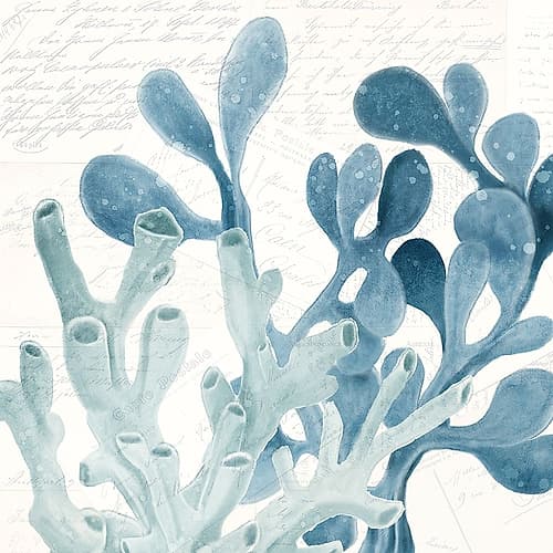 Coral Square 2 Coastal Print