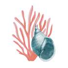 Coral Coastal 4 Art Print