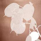 Rose Gold Leaves 2 Botanical Print