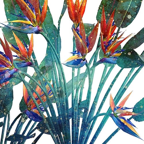 Tropic Flower 1 Art Print