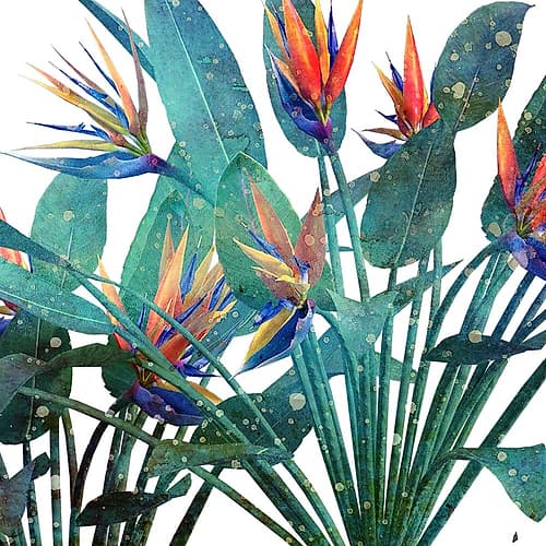 Tropic Flower 2 Art Print