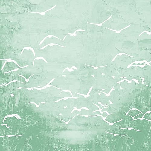 Flock 1 Art Print by Kimberly Allen